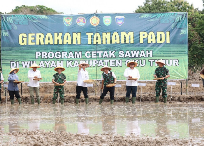 Bupati Enos Wujudkan Peningkatan Produksi Beras, OPLAH hingga Cetak Sawah Baru