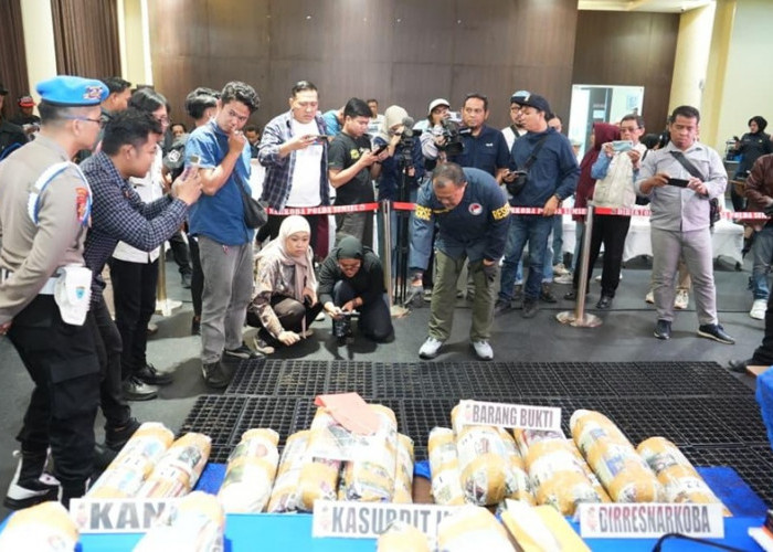 Polda Sumsel Bongkar Sindikat Ladang Ganja 20 Hektar di Empat Lawang, 220 Kg Ganja Disita