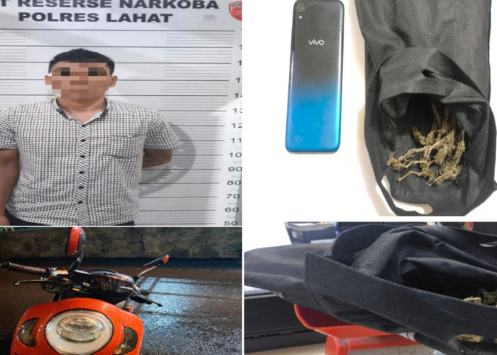 Polres Lahat Bekuk Pengedar Ganja 80 Gram, Motor Scoopy Ikut Disita