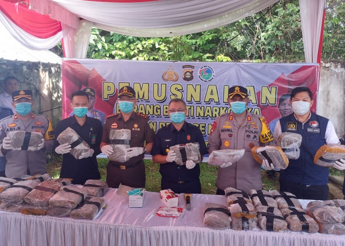 Ganja 35 Kilogram Tak Bertuan Akhirnya Dimusnahkan 