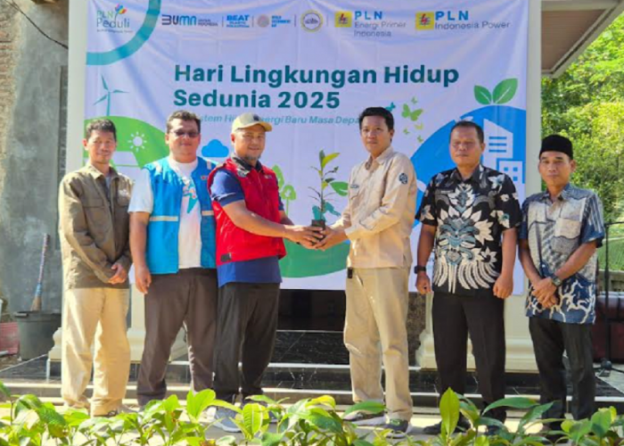 Hari Lingkungan Hidup, PLN EPI Tanam 500 Pohon Buah di Gunung Aseupan