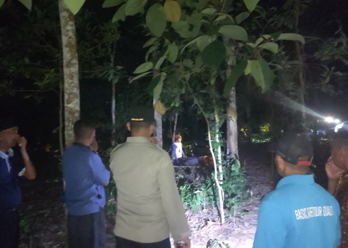 Dua Jenazah Pasutri Ditemukan di Perkebunan Karet, Polisi Lakukan Penyelidikan Intensif