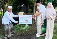 Idul Adha 2025 Lanosin-Yudha Salurkan 53 Ekor Sapi Kurban untuk Kabupaten OKU Timur