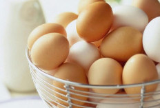 Kenali 7 Manfaat Putih Telur untuk Kesehatan Tubuh yang Jarang Diketahui