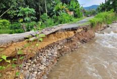 Jalan Utama Desa Tergerus Longsor