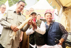 Menteri Pertanian Ajak Insan Pertanian Lanjutkan Swasembada Pangan