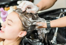 6 Tips Untuk Mencegah Rambut Kering, Yuk Simak Daftarnya!