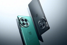 OnePlus Ace 2 Pro: Performa Snapdragon-Level dengan Kamera 50MP yang Mengubah Fotografi Mobile