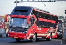 Mau Mudik Nyaman, Berikut Rekomendasi 5 Sleeper Bus Rute Jakarta-Surabaya Terbaik 2024