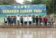 OKU Timur Berpotensi Jadi Lumbung Pangan Utama di Sumsel