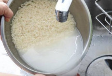 Selain Digunakan Dalam Masakan, Air Beras Ternyata Memiliki Banyak Manfaat untuk Kesehatan Rambut