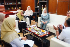 Ketua TP PKK Sumsel Feby Deru Sambut Baik Lomba Balita Sehat Dinkes Provinsi Sumsel