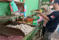 Harga Bawang Masih Tinggi