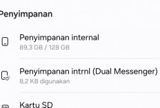 Tips Menghemat dan Merawat Smartphone dengan Penyimpanan yang Penuh