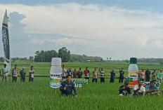 Edukasi Petani untuk Maju, Petrokimia Kayaku Adakan Sosialisasi Bazar Produk dan Demplot