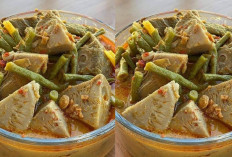 Reseo Praktis Bikin Sayur Nangka Padang 