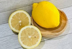 Inilah manfaat mengonsumsi jeruk Lemon, solusi minuman di siang hari