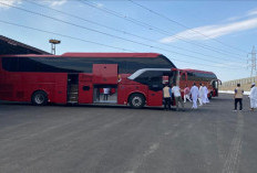 Pastikan Mobilitas Jemaah Lancar, 6.000 Bus Disiagakan di Madinah
