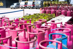 Mafia Gas Subsidi Diburu: Pertamina Gandeng Polisi Sikat Penyeleweng LPG 3 Kg, Sanksi PHU Menanti!