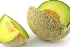 Benarkah Buah Melon Bisa Mengatasi Flu? Simak Penjelasannya