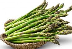 Apakah Asparagus Baik Untuk Menjaga Kesehatan Janin ? Simak Penjelasannya 