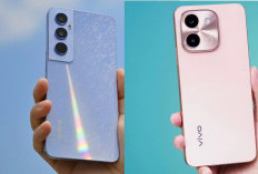 Rekomendasi Smrtphone 2 Jutaan Realme C65 dan Vivo Y28, layar Lcd Beda Tipis