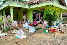 Harga Buah Duku Masih Tinggi