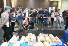 Polda Sumsel Bongkar Sindikat Ladang Ganja 20 Hektar di Empat Lawang, 220 Kg Ganja Disita