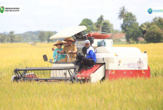 HD Himbau Pemda Jaga Lahan Pertanian