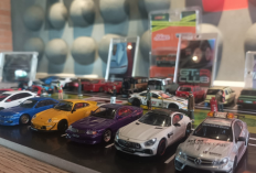 Event Indonesia Diecast Expo 2024 Siap Digelar Bulan Oktober, Bukti Banyaknya Penggemar Diecast