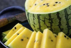 Kaya akan Kandungan Nutrisi Semangka Kuning Memiliki Berbagai Khasiat, Termasuk Mendukung Pembentukan Otot