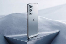 OnePlus 9 Pro: Layar LTPO Fluid2 AMOLED, Perekeman Video hingga Resolusi 8K, dan Wireless Charging 50 Wat