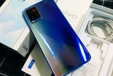 Spesifikasi HP Merakyat Vivo Y21a dan Vivo Y17s, Pilih Mana?