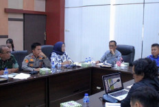 Pemkab OKU Selatan Dukung Translokasi Gajah Sumatera ke Suaka Margasatwa Gunung Raya