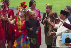Pesta Apa