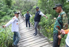 Tinjau Jembatan Gantung Putus di Kisam Ilir, Pastikan Penanganan Cepat 