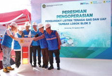 PLTGU Berkapasitas 779 MW diresmikan, Tawarkan Teknologi Efisien Tingkat Tinggi