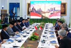 Ekspor Listrik ke Singapura Belum Final, Bahlil Sebut Negosiasi Harga Masih Berlangsung