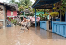 Akibat Curah Hujan Tinggi, Puluhan Rumah di Tekom Desa Tanjung Kemala Martapura OKU Timur Terendam Air