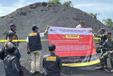 Amankan Tumpukan Batubara Ilegal 