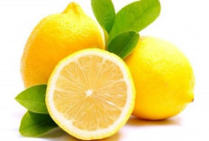 Mengatasi Penuaan Dini dengan Buah Lemon: Solusi Alami untuk Kulit Sehat