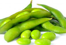 Menurunkan Kadar Kolesterol Jahat dengan Mengonsumsi Kacang Edamame