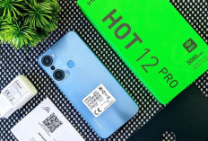 Infinix Hot 12 Pro, Smartphone dengan Desain Elegan Dan Spesifikasi Canggih 