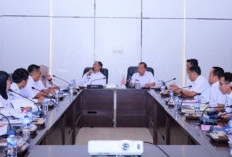 Bupati OKU Selatan Terima Aspirasi PPPK Paruh Waktu, Tegaskan Komitmen Kawal Status