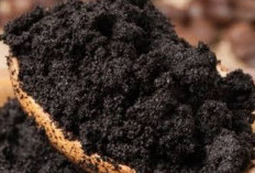 Mengurangi Kantung Mata dengan Ampas Kopi: Solusi Alami yang Efektif