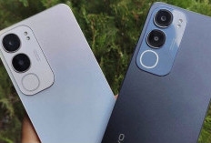 Bedanya Hp Entry-Level Vivo Y19s Vs Vivo Y17s: Mending Pilih Mana? Cek Spesifikasinya