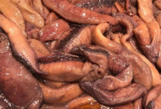 Benarkah Telur Ikan Bisa Menjaga Kesehatan Jantung? Ini Faktanya
