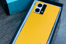 OPPO Reno7 4G, Mengusung Chipset Tanggung, Kamera 64Mp, Serta Desain Yang Memukau 