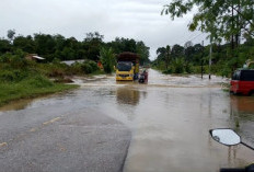 Musim Hujan Telah Tiba! Inilah 4 Dampak Buruk Menerobos Banjir Menggunakan Sepeda Motor