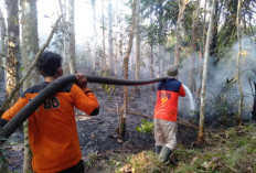 BPBD OKU Minta Warga Lebih Waspada Karhutla